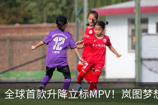 全球首款升降立标MPV！岚图梦想家9正式上市：41.99万元起