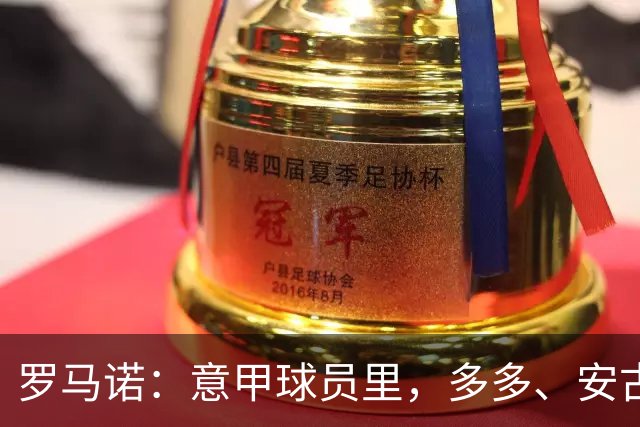 罗马诺：意甲球员里，多多、安古伊萨和伯纳贝可能明夏自由身离队