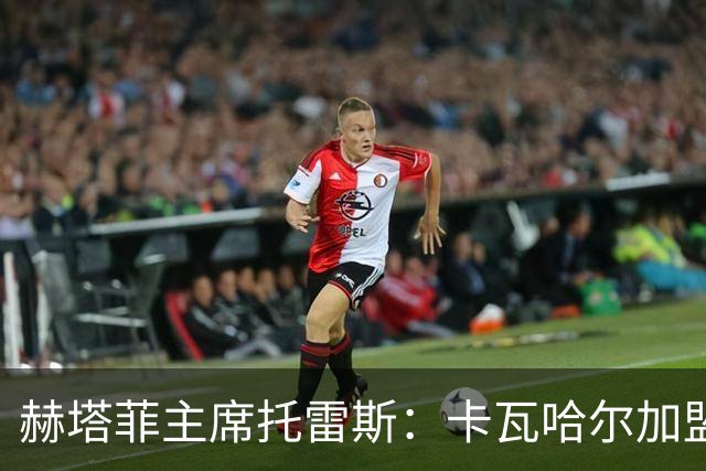 赫塔菲主席托雷斯：卡瓦哈尔加盟“是玩笑”，称只是烟雾